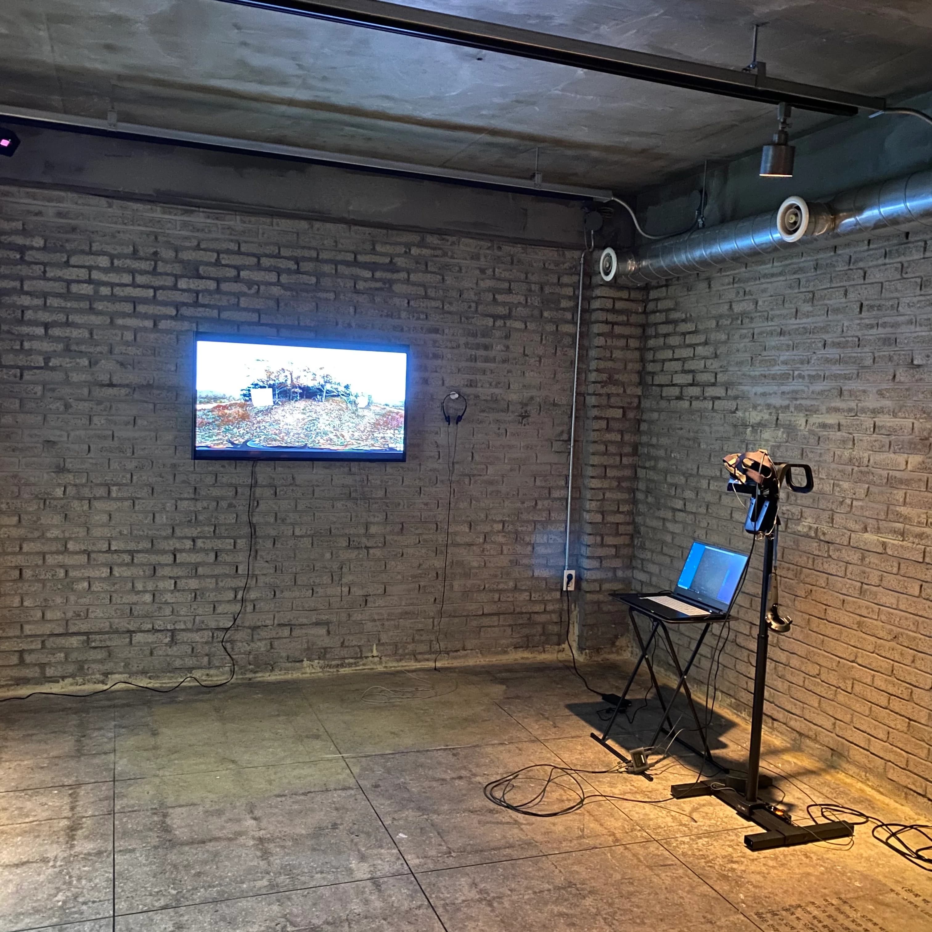 Bright Ceiling — 3