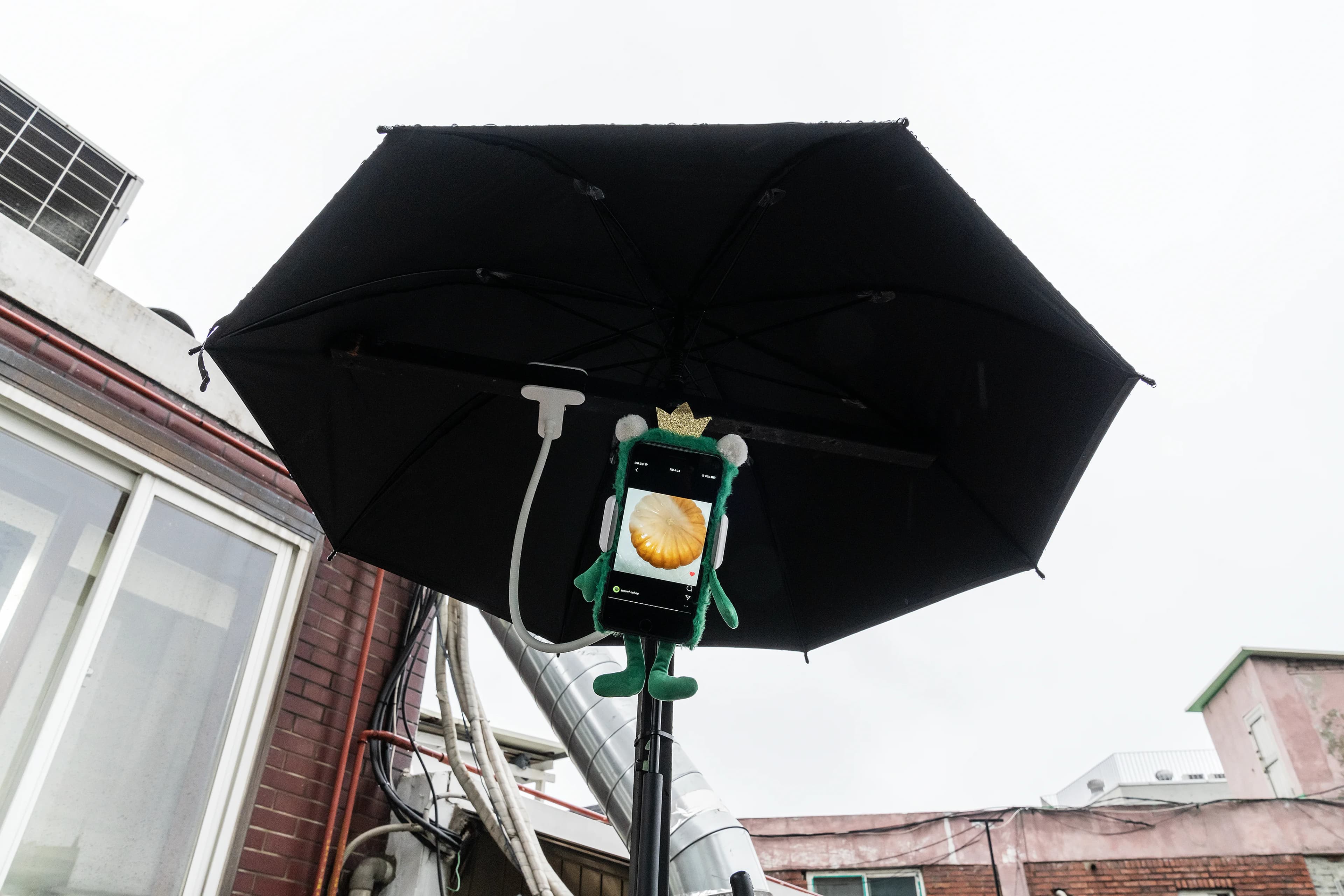 오드라데크 — 2